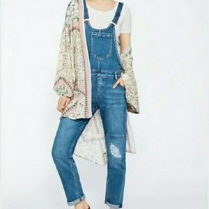 Anthropologie Pilcro Faye Denim Overalls